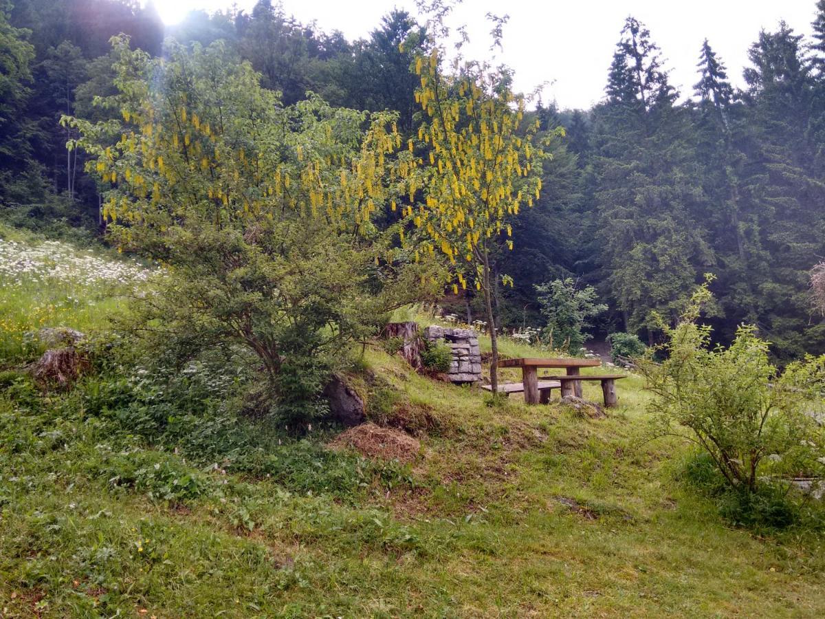 Agritur Manoncin Villa Daone Exteriör bild