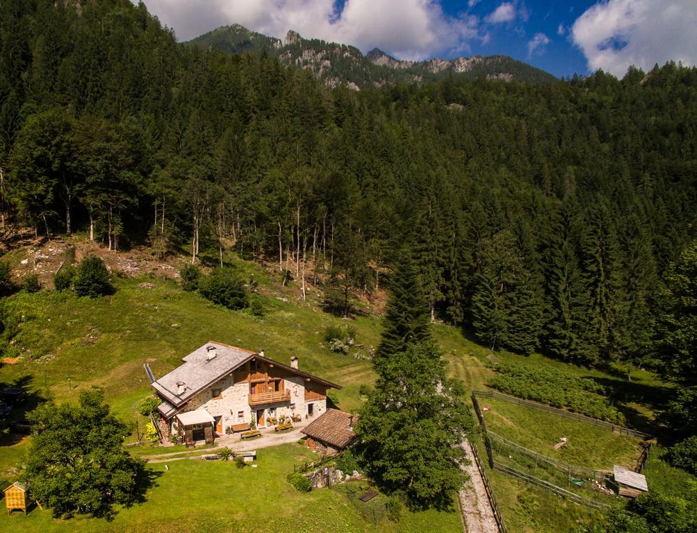 Agritur Manoncin Villa Daone Exteriör bild