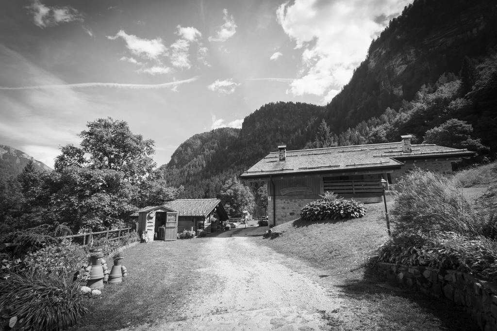 Agritur Manoncin Villa Daone Exteriör bild